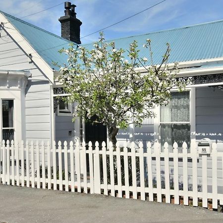 In Dunedin'S Heart, Full House, Full Sun, Full Chill, Why Stay At A Hotel When You Can Afford An Entire House Εξωτερικό φωτογραφία