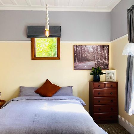 In Dunedin'S Heart, Full House, Full Sun, Full Chill, Why Stay At A Hotel When You Can Afford An Entire House Εξωτερικό φωτογραφία