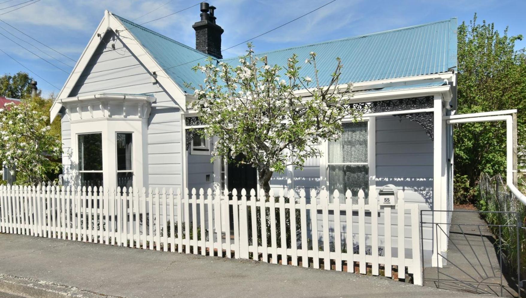 In Dunedin'S Heart, Full House, Full Sun, Full Chill, Why Stay At A Hotel When You Can Afford An Entire House Εξωτερικό φωτογραφία