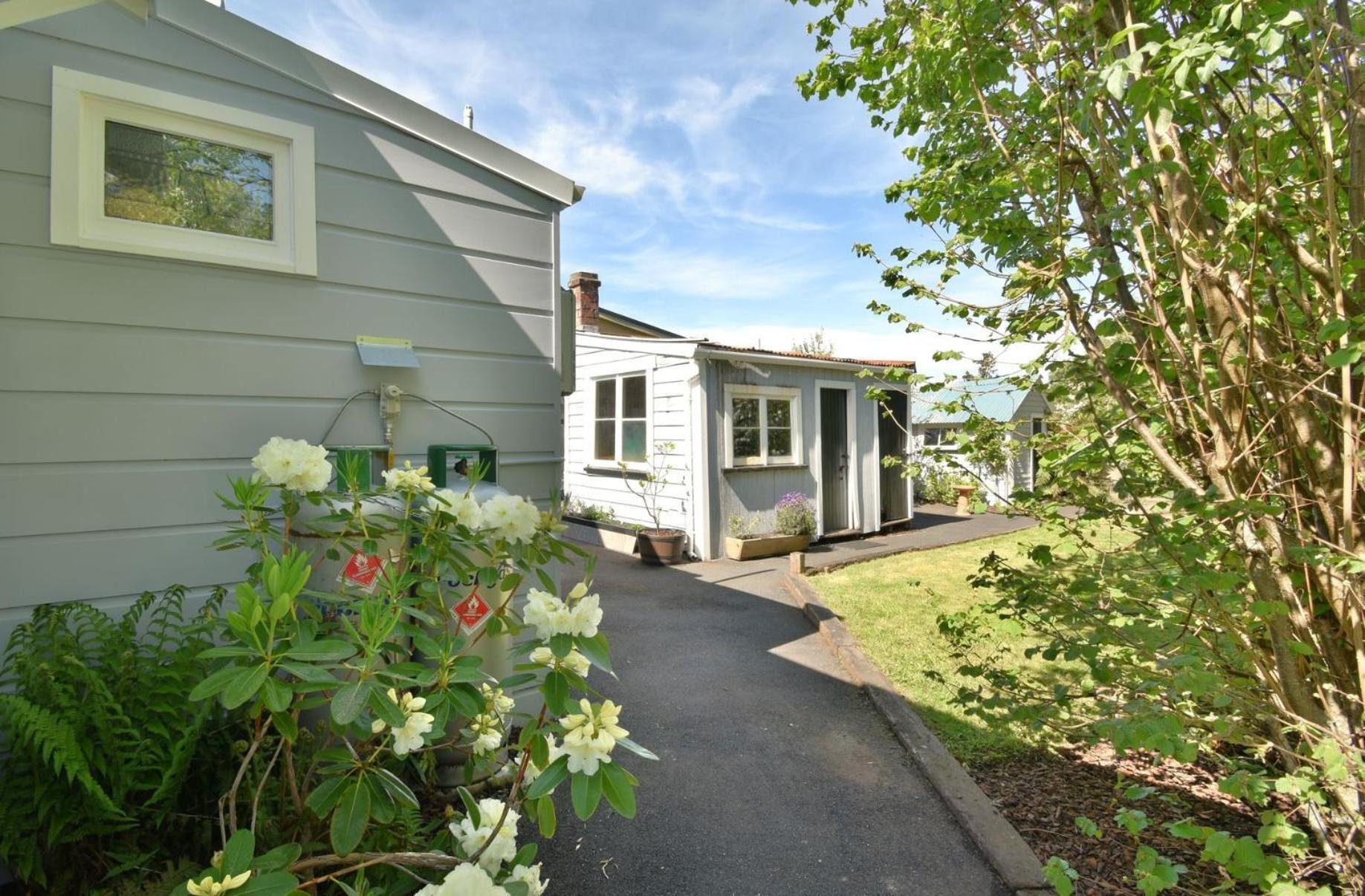 In Dunedin'S Heart, Full House, Full Sun, Full Chill, Why Stay At A Hotel When You Can Afford An Entire House Εξωτερικό φωτογραφία