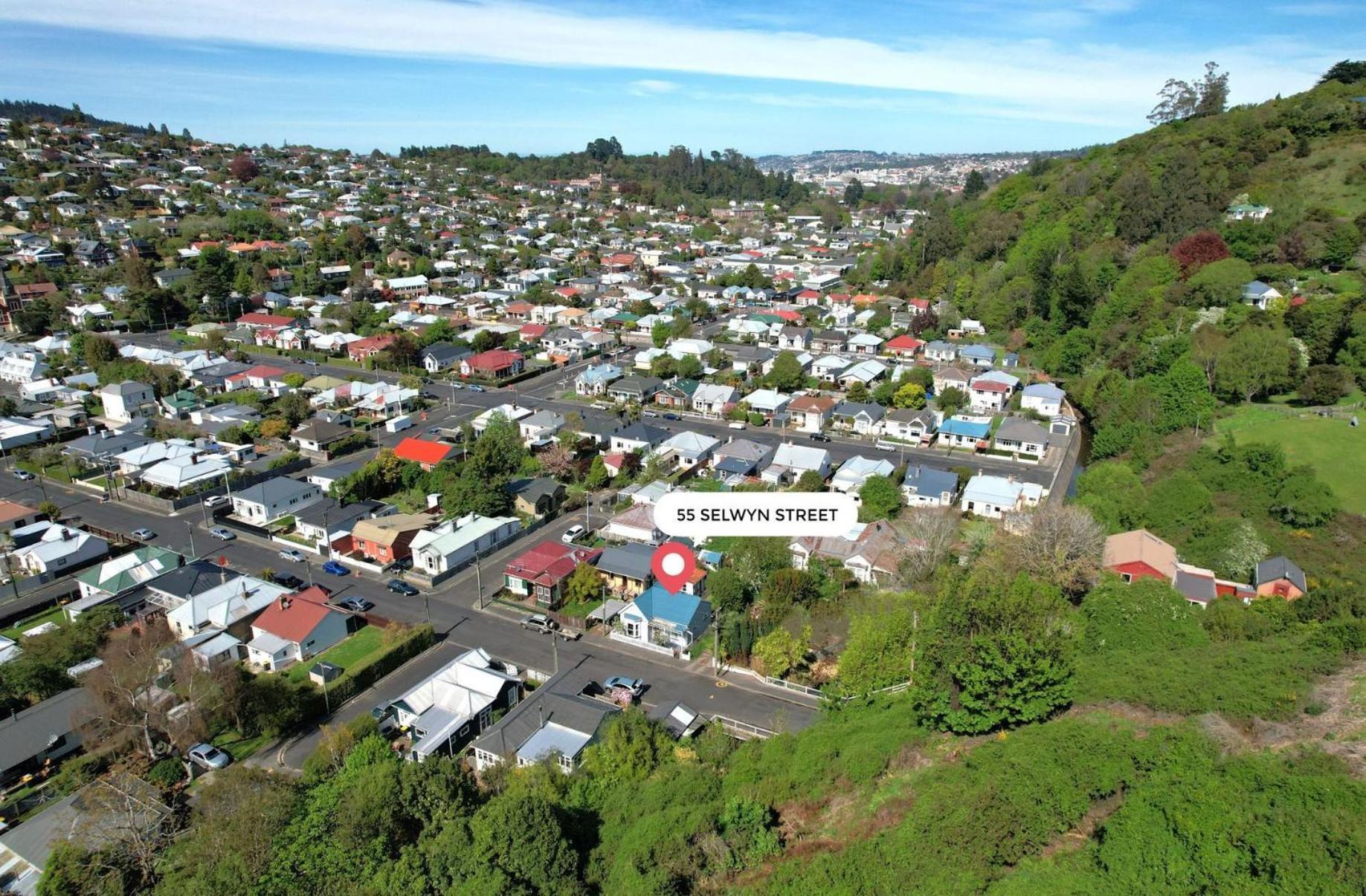 In Dunedin'S Heart, Full House, Full Sun, Full Chill, Why Stay At A Hotel When You Can Afford An Entire House Εξωτερικό φωτογραφία