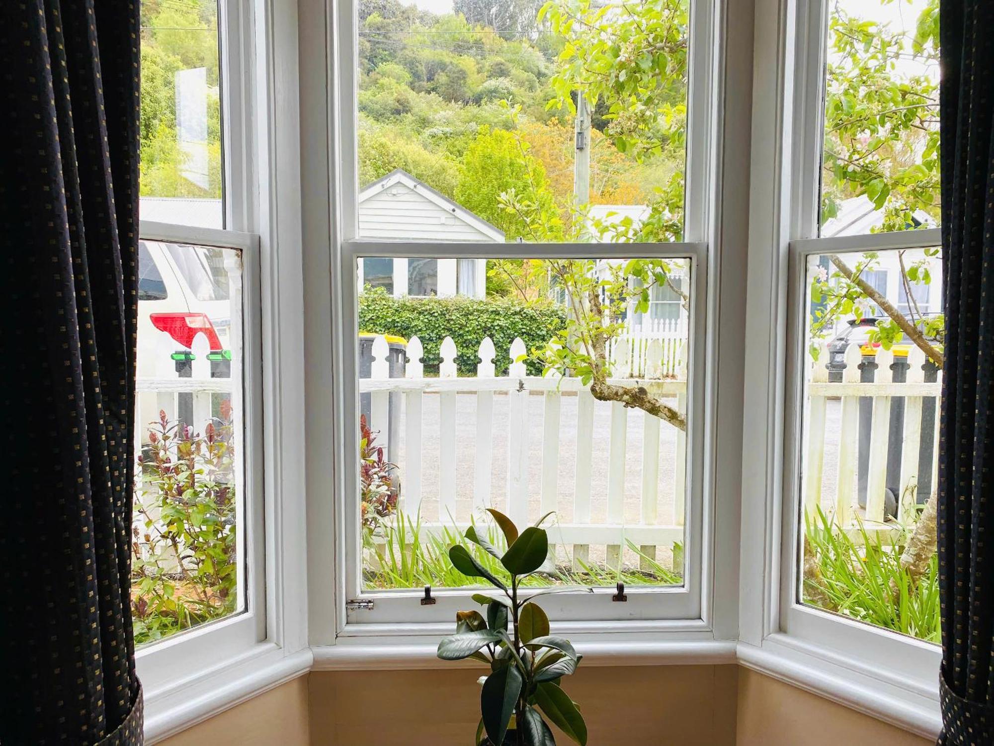 In Dunedin'S Heart, Full House, Full Sun, Full Chill, Why Stay At A Hotel When You Can Afford An Entire House Εξωτερικό φωτογραφία