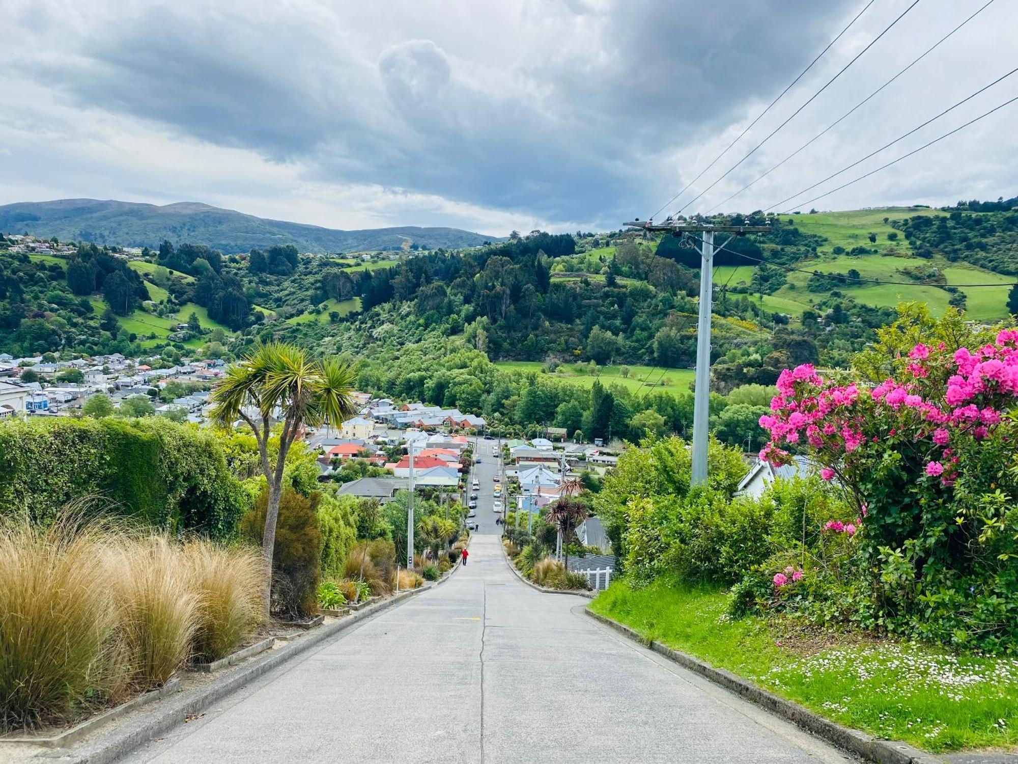In Dunedin'S Heart, Full House, Full Sun, Full Chill, Why Stay At A Hotel When You Can Afford An Entire House Εξωτερικό φωτογραφία
